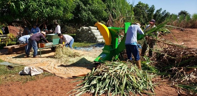Projetos apoiados pela Suzano retiraram 31 mil pessoas da linha da pobreza em Mato Grosso do Sul